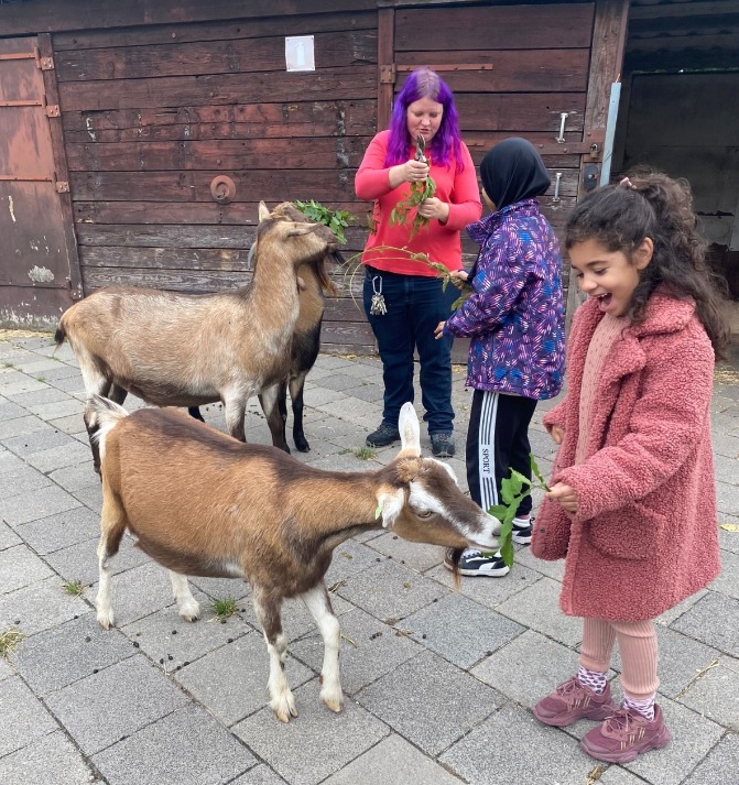 Groep 3 zoekt talenten van de dieren op de kinderboerderij 